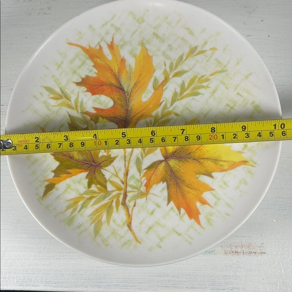 Autumn Leaf Dinner Plates - Set of 6 (White with Orange & Green) - Picture 5 of 9